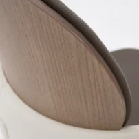 ThyssenKrupp Flow X Back Of Seat